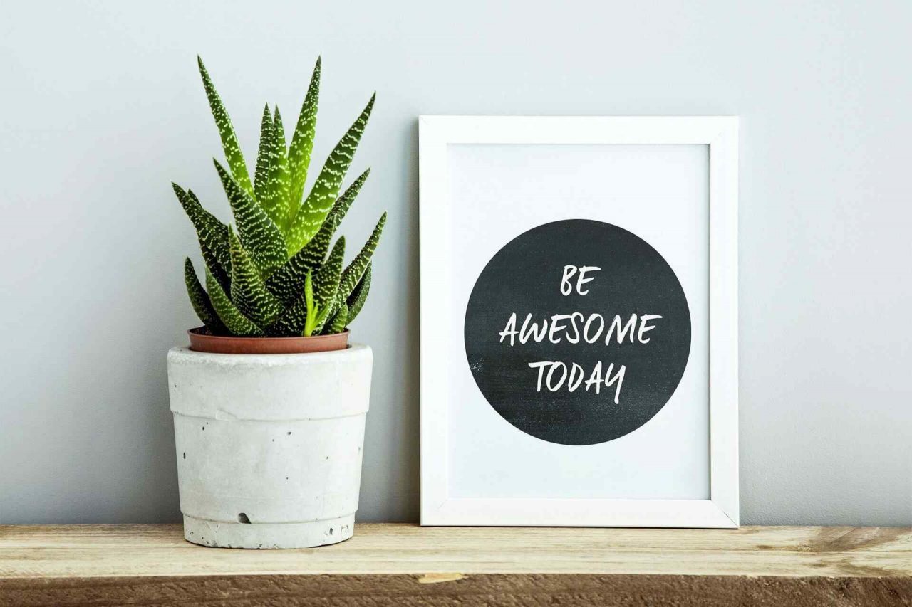 portfolio_img_13 https://www.freshdps.co.uk/wp-content/uploads/2017/04/portfolio_img_13-1280x853.jpg